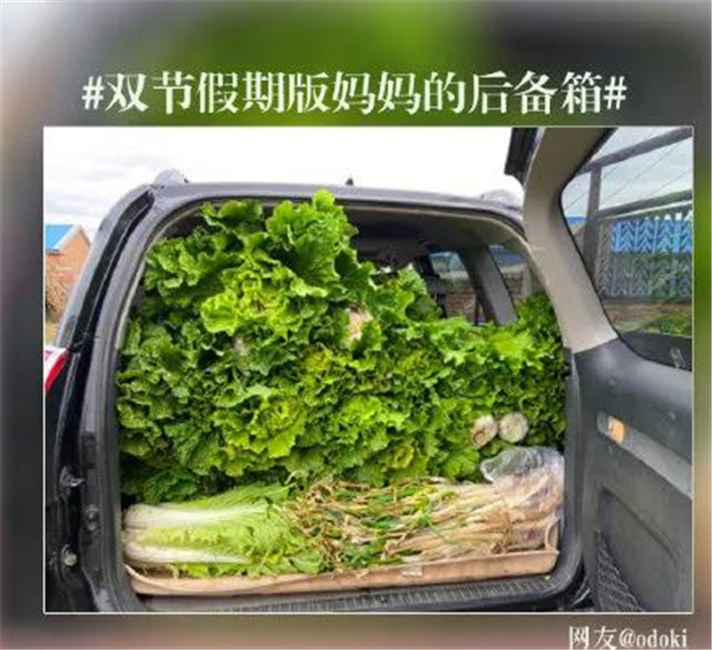 海創集成墻面
