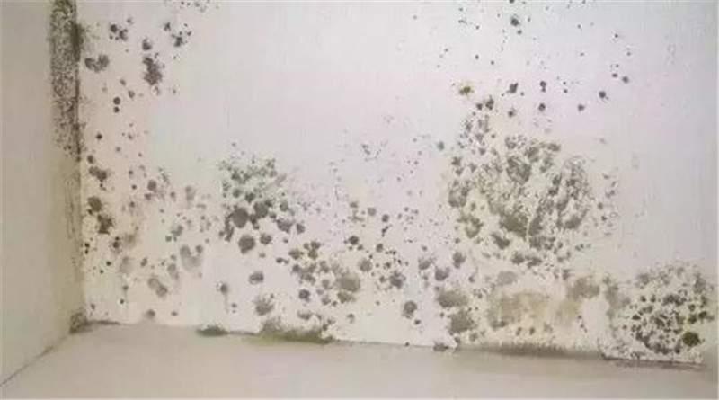 海創集成墻面